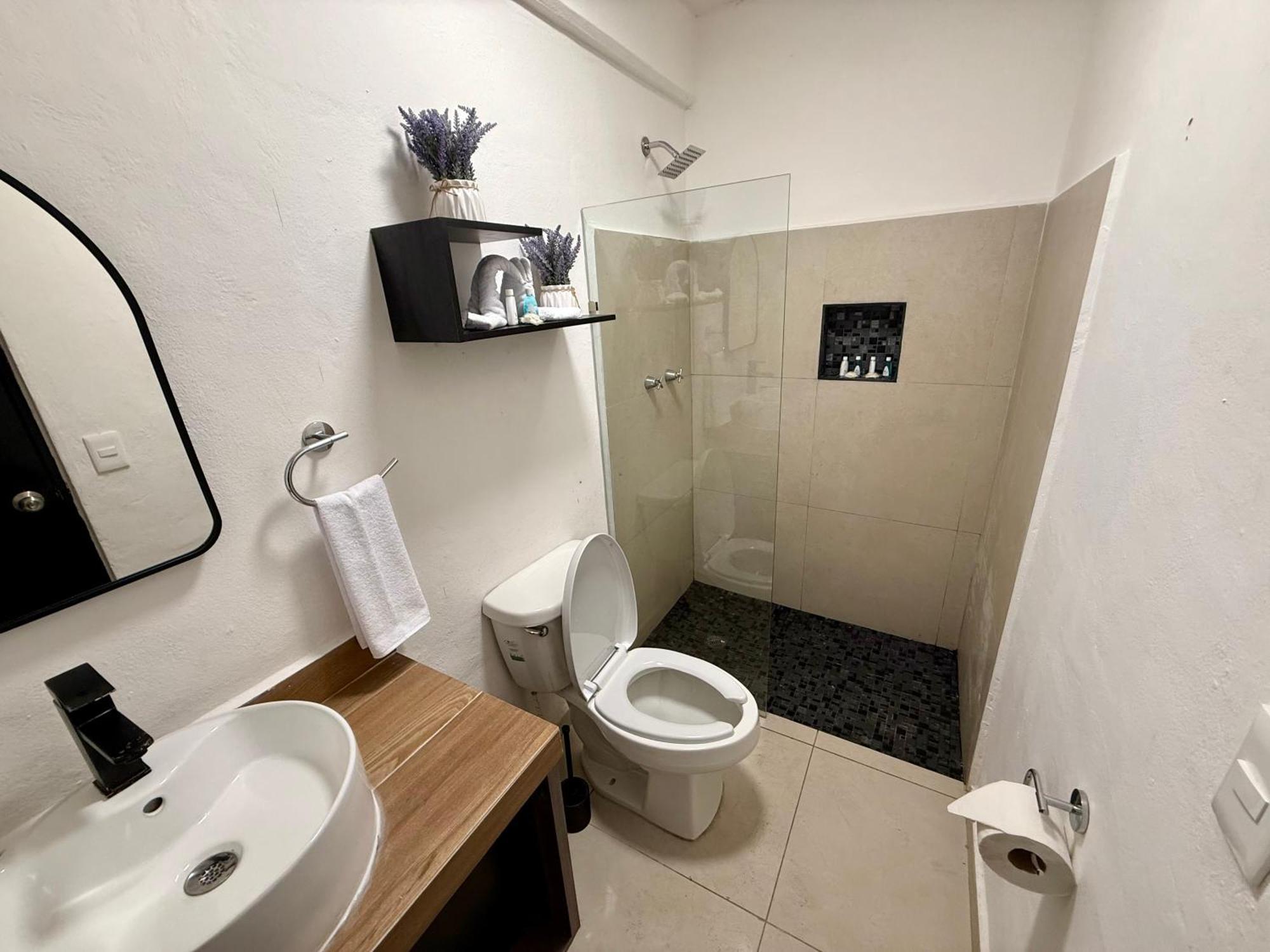 Отель Casa Tortuga 5Th Ave Плая-дель-Кармен Экстерьер фото