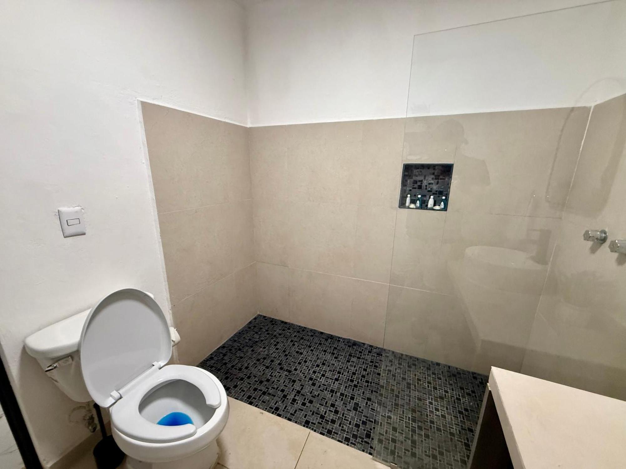 Отель Casa Tortuga 5Th Ave Плая-дель-Кармен Экстерьер фото